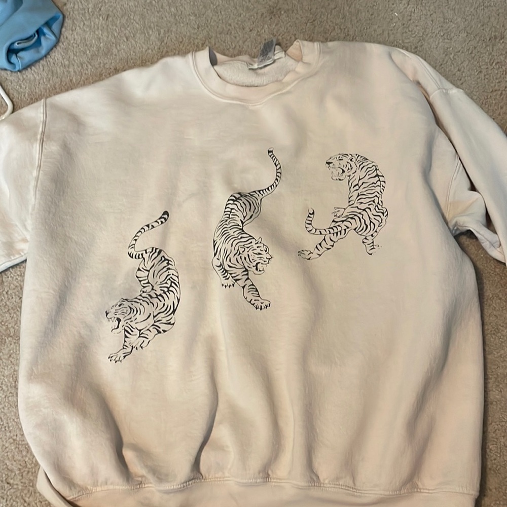 Urban Outfitters Sweatshirt